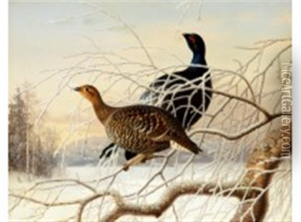 Wood Grouse Couple Oil Painting - Ferdinand von Wright