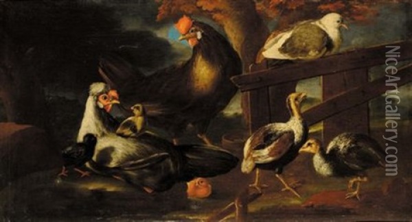 Animali Da Cortile Oil Painting - Angelo Maria (Crivellone) Crivelli