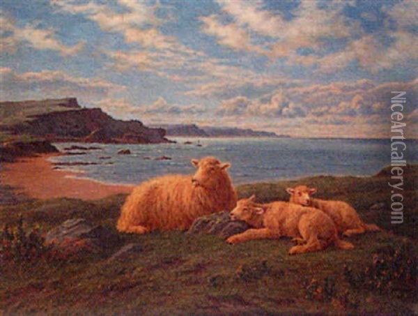 Overlooking Bude Bay - Ewe And Lambs At Rest Oil Painting - Charles H. Branscombe