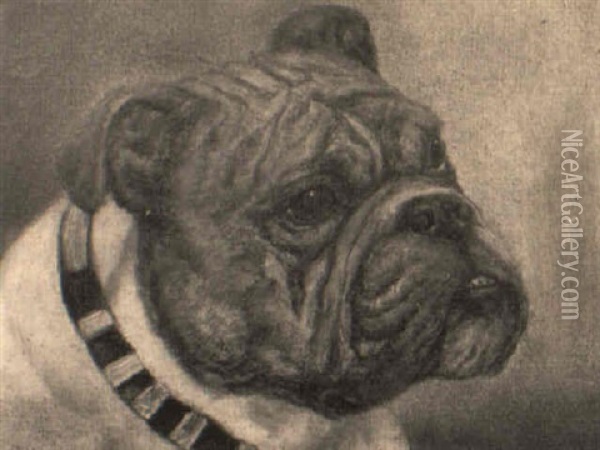 The Bulldog 'barny Barnato' Oil Painting - Arthur Batt