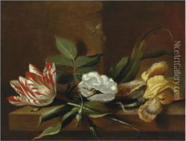 Still Life With A Yellow Iris, A
 Parrot Tulip, A White Rose Andinsects On A Wooden Table Ledge Oil Painting - Jacob Marrel