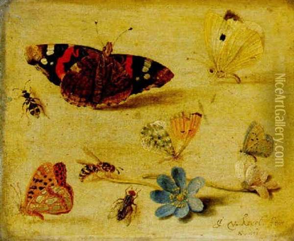 Butterflies, Insects And Flowers Oil Painting - Jan van Kessel the Elder