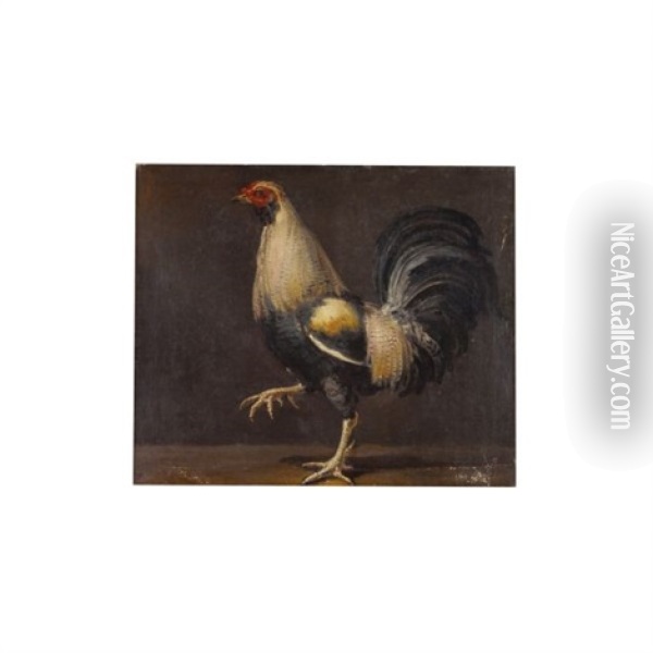 Un Coq Oil Painting - Francisco Goya