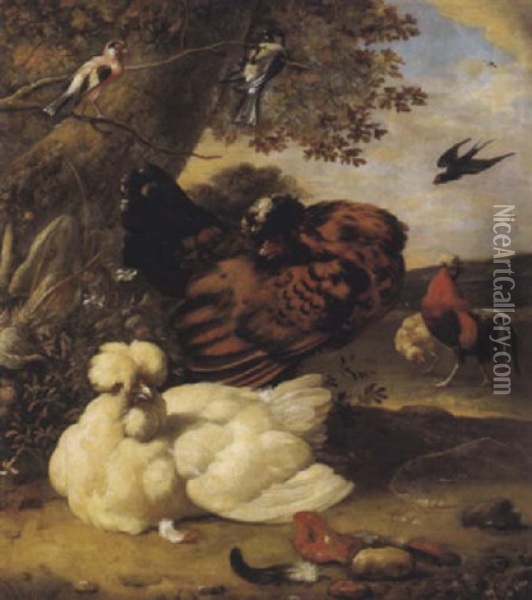 Huhner Und Vogel In Einer Landschaft Oil Painting - Melchior de Hondecoeter