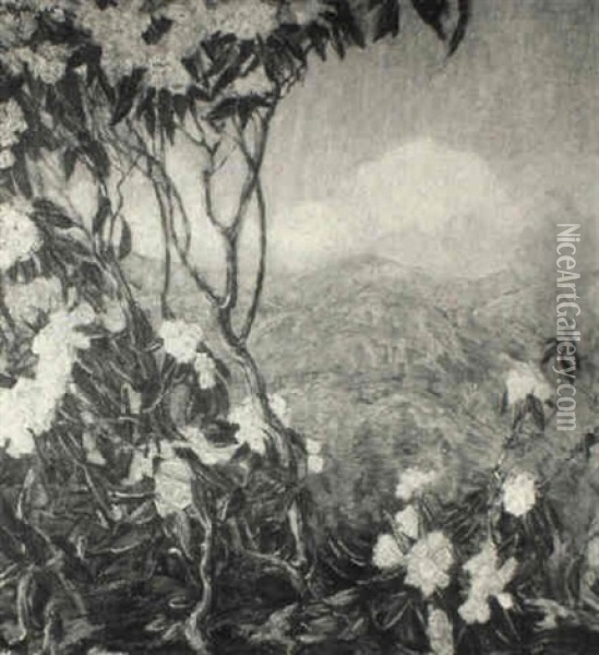 Through The Mountain Laurel Oil Painting - Dorothea M. Litzinger