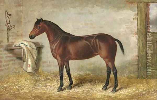A bay hunter in a stable Oil Painting - George Earl