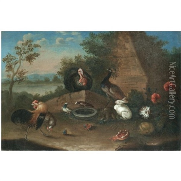 A Landscape With A Cockerel, A Hen, A Turkey, A Peacock And Other Birds With Rabbits Oil Painting - Pieter Casteels III