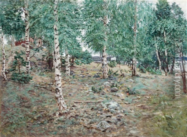 Birches Oil Painting - Elias Muukka