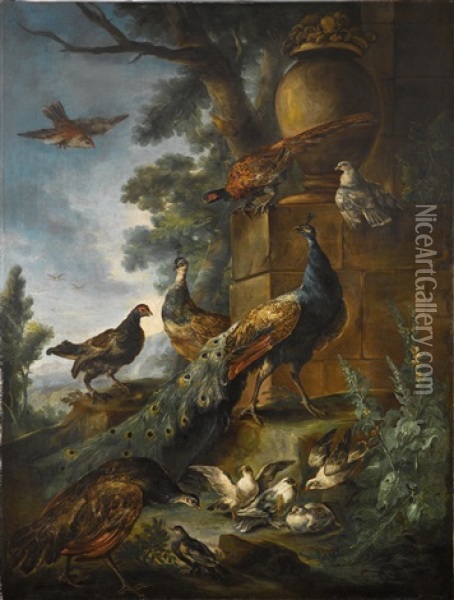 Peacocks And Other Birds In A Landscape Oil Painting - Giovanni (Crivellino) Crivelli