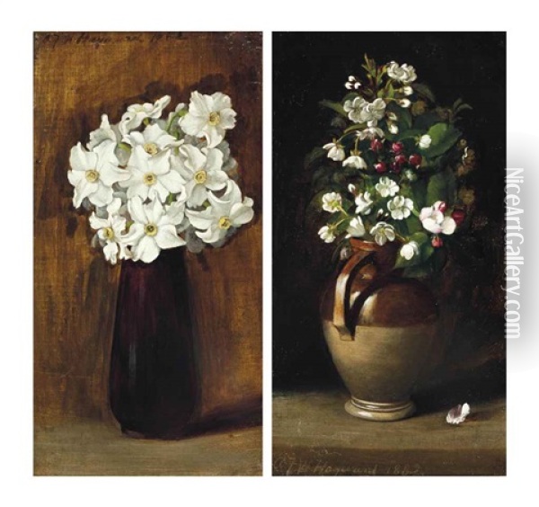 Narcissi And Blossom (pair) Oil Painting - Alfred Frederick William Hayward