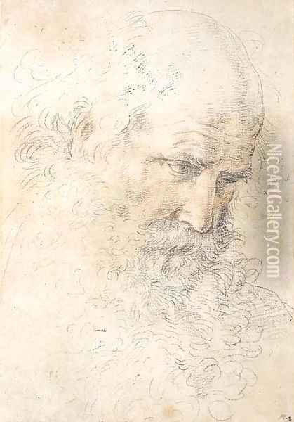 The head of a bearded man looking down Oil Painting - Guido Reni