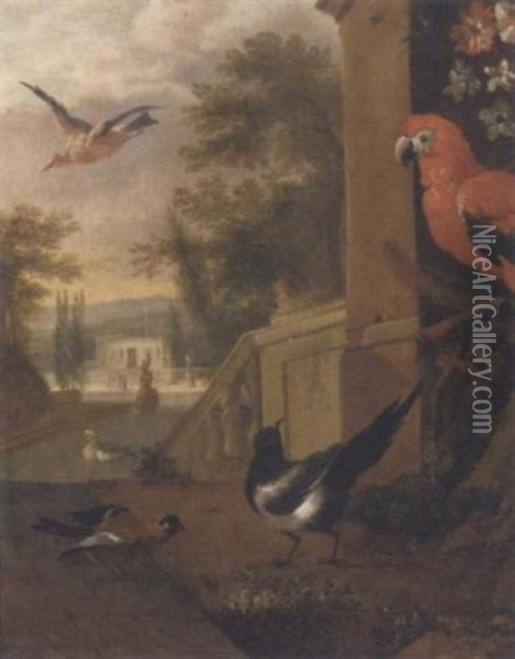 A Magpie, A Parrot, A Goldfinch And Other Birds In An Italianate Garden Oil Painting - Pieter Casteels III