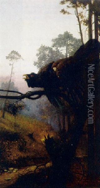 Balzender Auerhahn Im Morgendlichen Gegenlicht Oil Painting - Adolf Werner