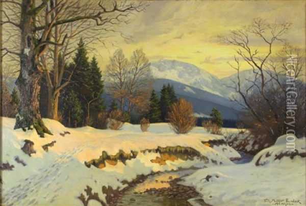 Winterlandschaft Oil Painting - Fritz Mueller-Landeck