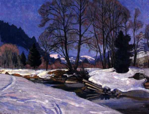 Besonnte Winterlandschaft Im Allgau Oil Painting - Richard Mahn