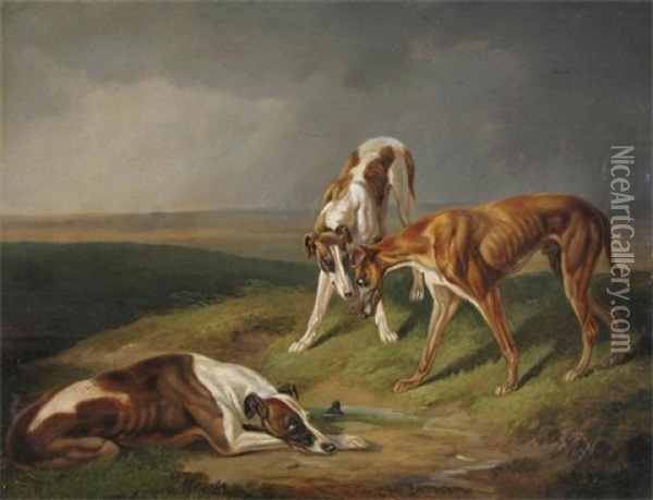 Three Lurchers In A Landscape Oil Painting - William C. Adam