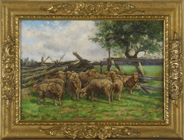 Sheep By A Country Fence Oil Painting - William Ottis Swett Jr.