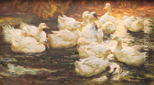 Eleven Ducks In Evening Light Oil Painting - Alexander Max Koester