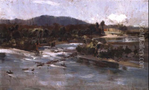 Cattle Crossing The Clarence River Oil Painting - Albert Henry Fullwood