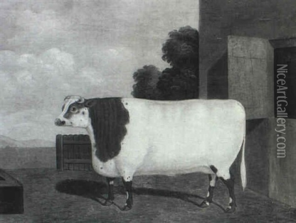 Bella, The Famous Champion Shorthorned Heifer Oil Painting - Charles Hubbard