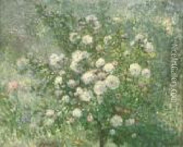 A White Rose Bush Oil Painting - Ernest Quost