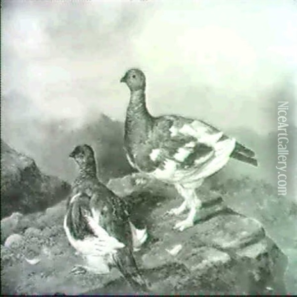 Ptarmigan Oil Painting - William Elstob Marshall