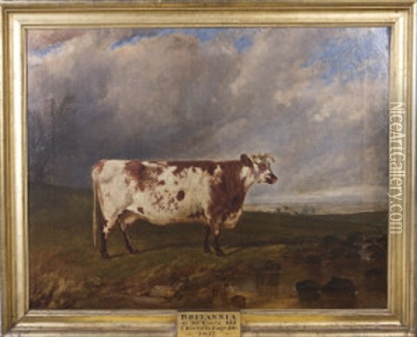 Prize Cow Britannia, Standing In A North Meath Landscape Oil Painting - James Walsham Baldock