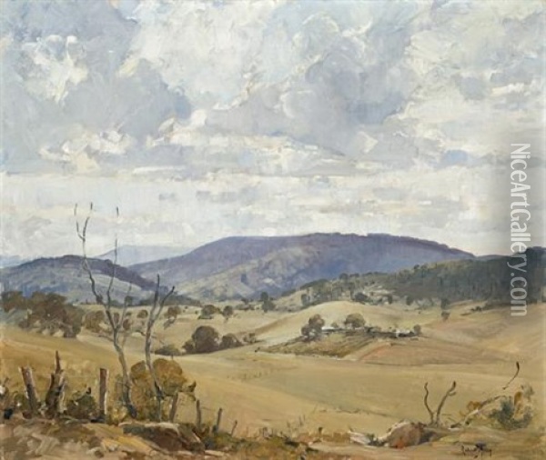 West Of Blue Mountains, New South Wales Oil Painting - Robert Johnson