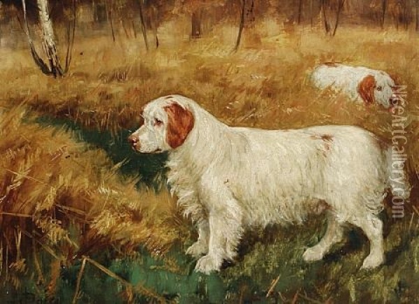 A Clumber Spaniel Called Fudge Oil Painting - George Paice