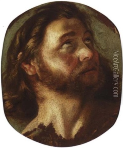 A Study Of The Head Of A Bearded Man (saint John ?) Oil Painting - Gaetano Gandolfi