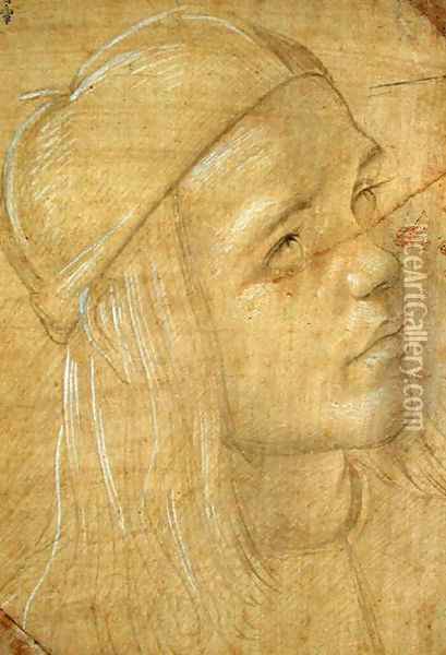 Head of a young man, c.1480 Oil Painting - Lorenzo Di Credi