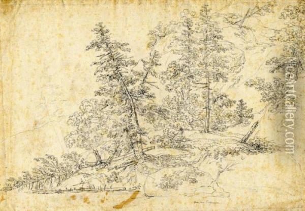 Rolled Lumber In Pine Forest Oil Painting - Johann Jakob Ii Dorner