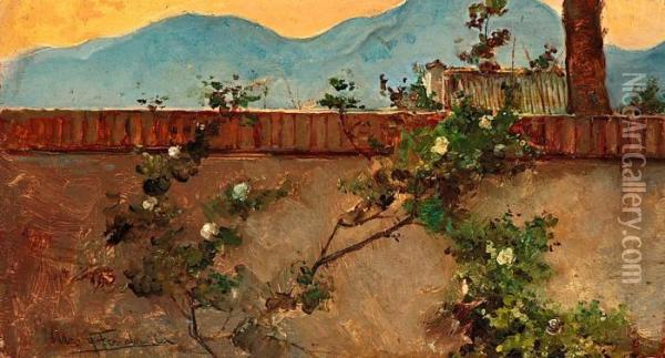 Muro De Jardin Oil Painting - Fondevila Arcadi Mas I