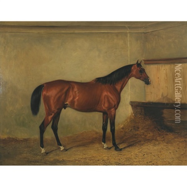 "melton Mowbray," A Bay Hunter In A Stable, The Property Of Henry George Herbert Oil Painting - John E. Ferneley