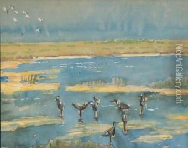 Shorebirds Oil Painting - Arthur Schneider