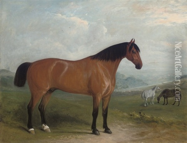 Styrrup In An Extensive Landscape, With Two Hunters Beyond Oil Painting - John Ferneley Jr.