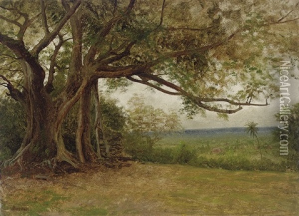 Study For The Landing Of Columbus Oil Painting - Albert Bierstadt