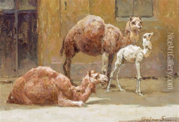 Kamele Oil Painting - Stefan Simony
