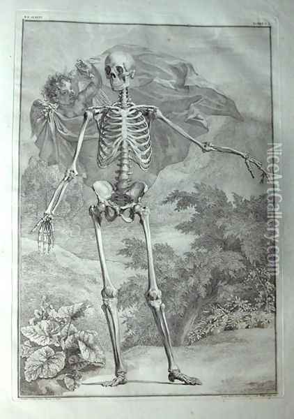 Albinus I, Tab. I: Skeleton, illustration from 'Tabulae sceleti et musculorum corporis humani', by Bernhard Siegfried Albinus (1697-1770), published by J.&H. Verbeek, bibliop., Leiden, 1740 Oil Painting - Jan Wandelaar