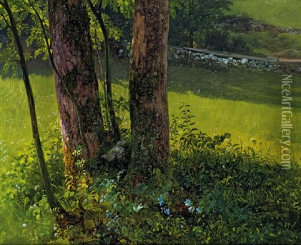 Baum (study) Oil Painting - August Heinrich