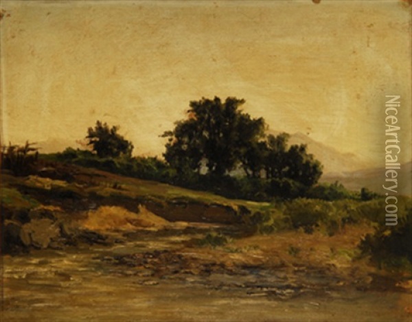 Paisaje De Campo Al Atardecer Oil Painting - Carlos de Haes