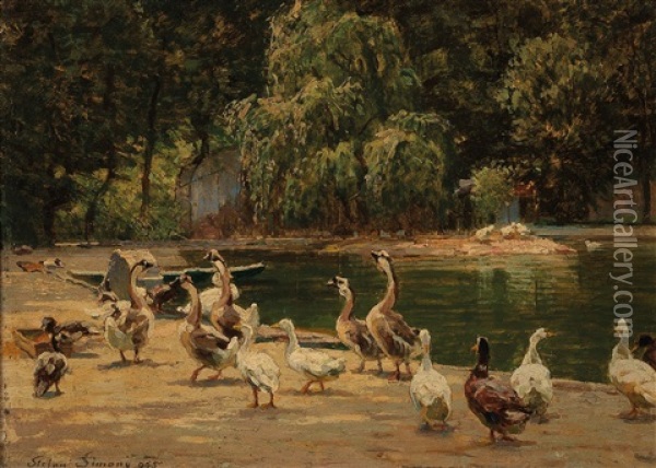 By The Duck Pond In Schonbrunn Oil Painting - Stefan Simony