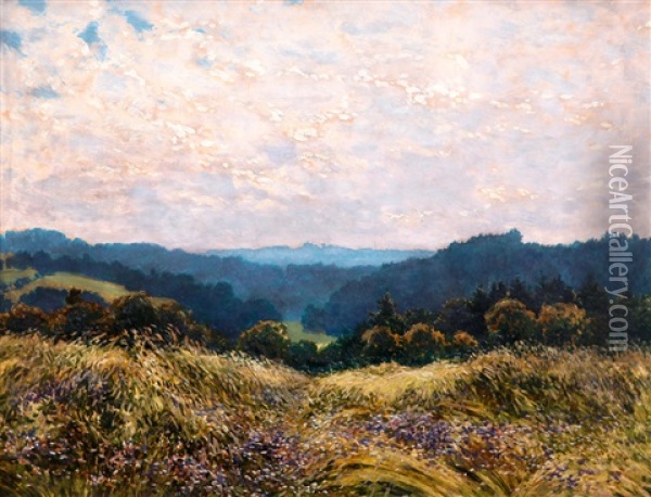 Letni Panorama Oil Painting - Karel Langer