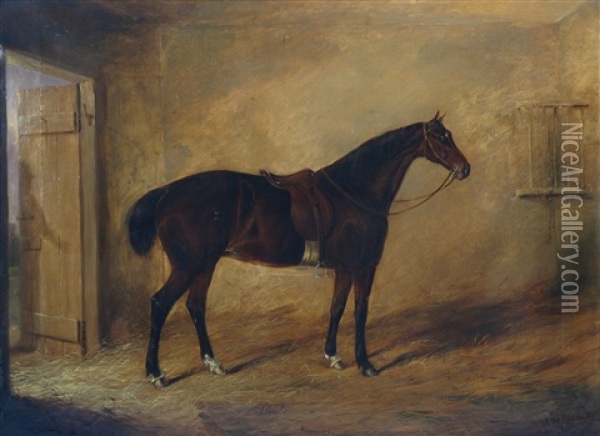 Il Cavallo Phoebe Oil Painting - Joseph Maiden