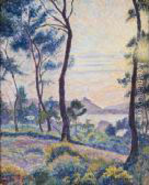 Soleil Couchant Dans Les Pins, Le Brusq Oil Painting - Lucien Pissarro