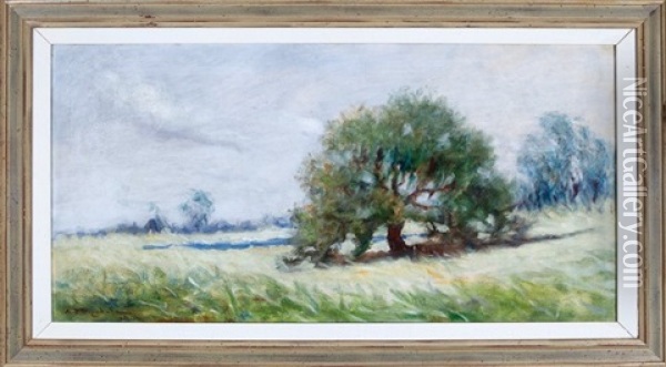Lone Live Oak Tree Oil Painting - Alexander John Drysdale