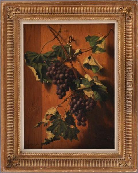 Grapes Hanging On A Wall Oil Painting - A. Platte Little