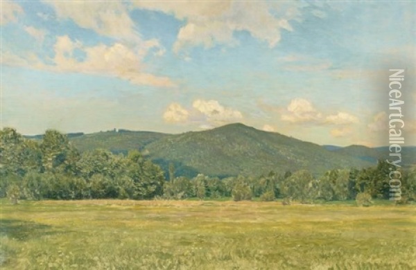 Landschaft In Der Ramsau Oil Painting - Thomas Leitner