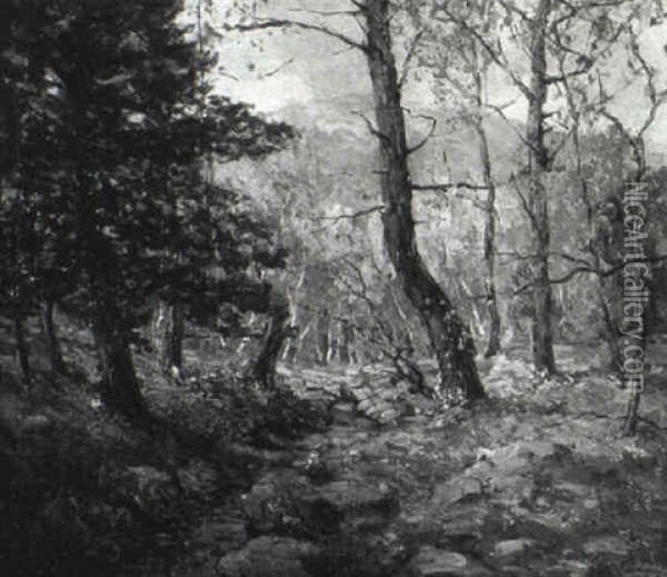 Rocky Stream Through Autumn Woods Oil Painting - Walter Koeniger