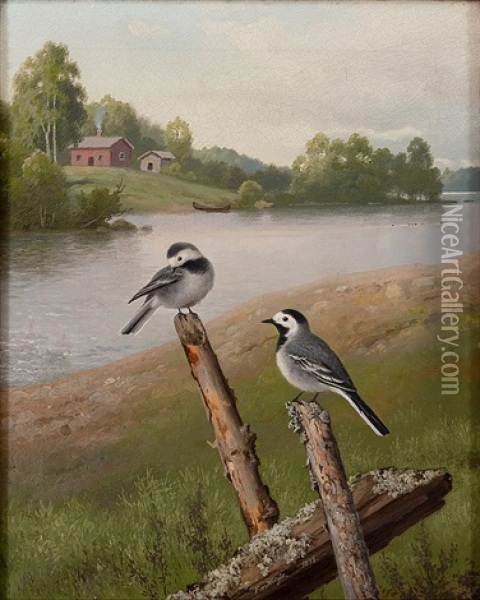 White Wagtails Oil Painting - Ferdinand von Wright